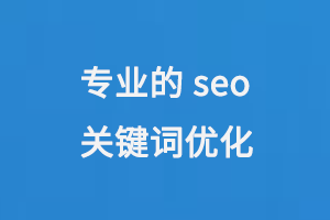 專業的seo關鍵詞優化